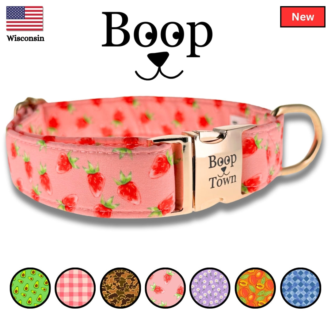 Dog Collars