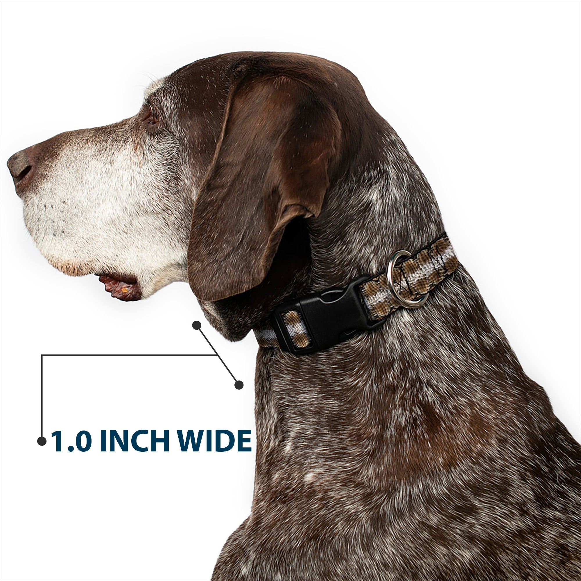 Plastic Clip Collar - Snake Skin 2