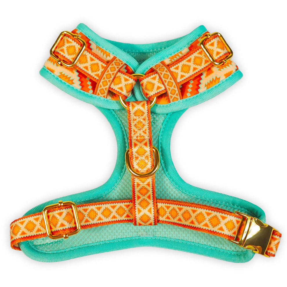 Desert Dream Harness – Rock Wildlife Foundation
