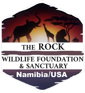 Rock Wildlife Foundation