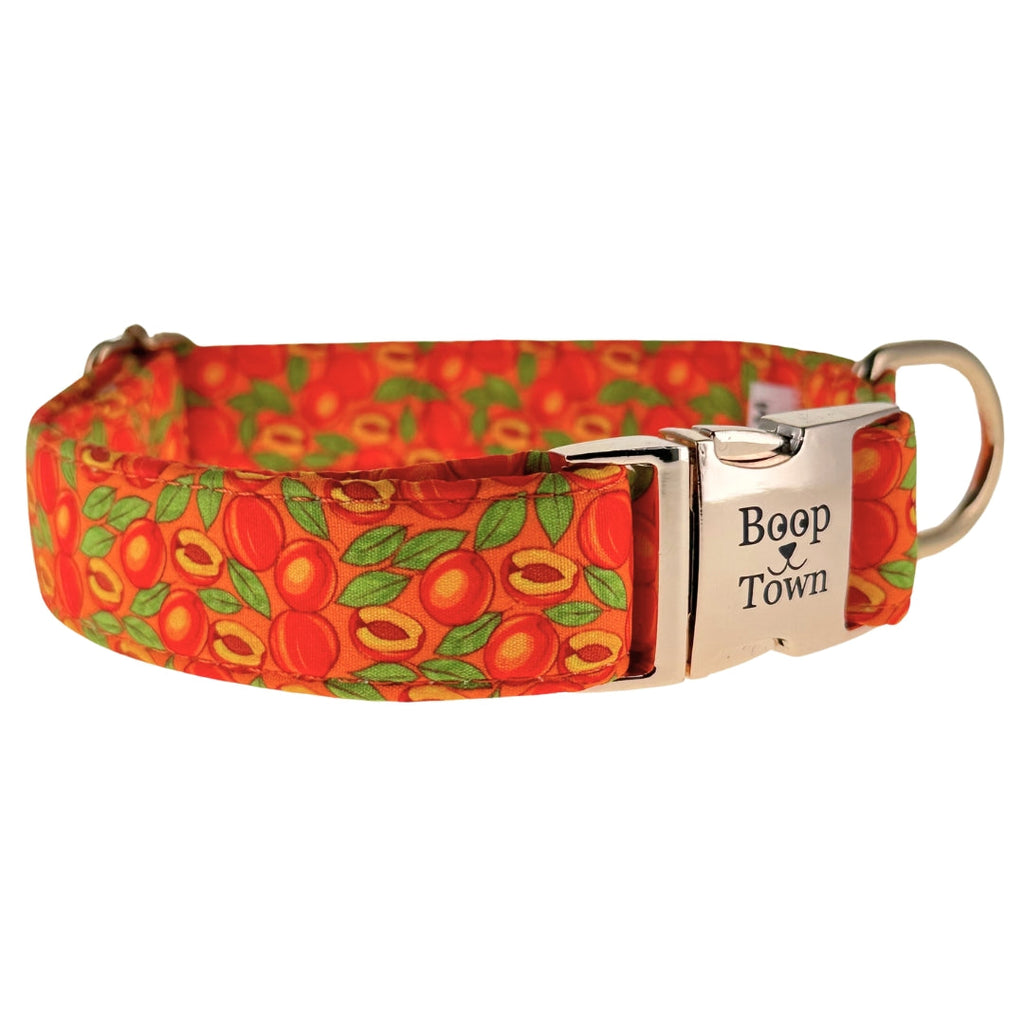 Dog Collars
