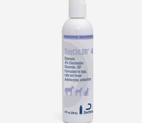 TrizChlor 4 Shampoo