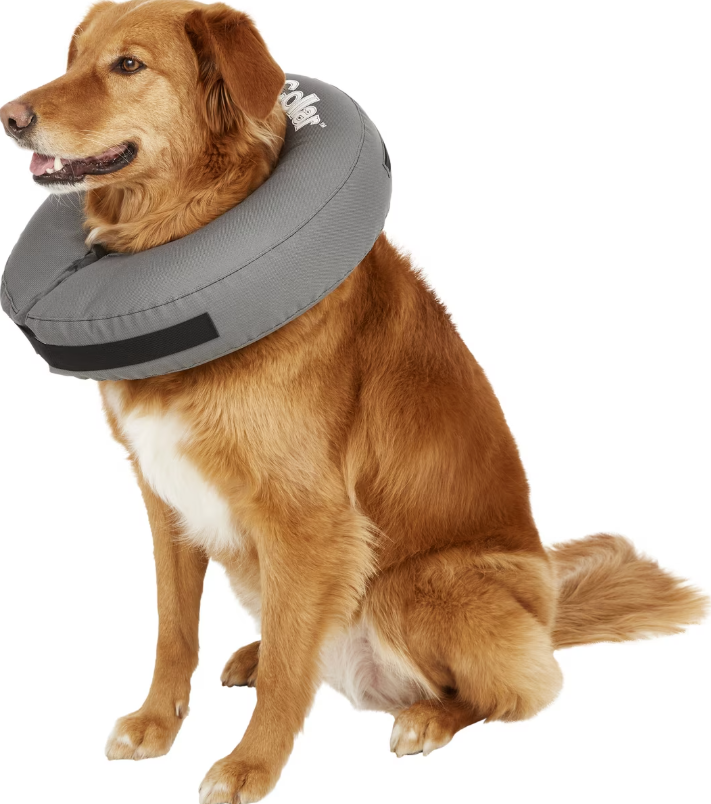 ZenPet ZenCollar Inflatable Recovery Collar