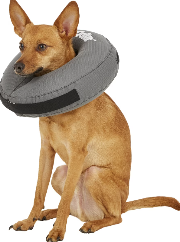 ZenPet ZenCollar Inflatable Recovery Collar
