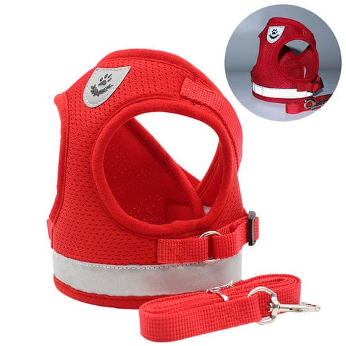 Cat Harness with Leash