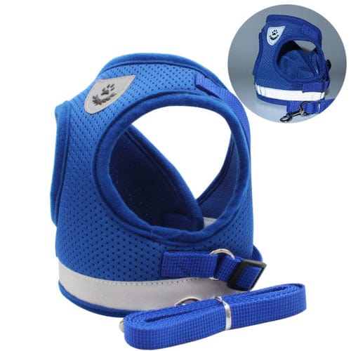 Cat Harness with Leash