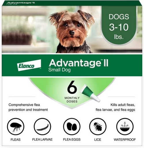 Advantage II Flea Prevention