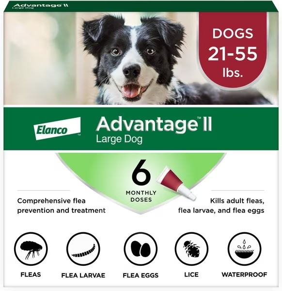 Advantage II Flea Prevention