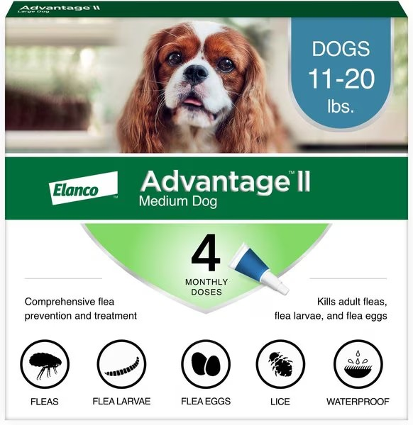 Advantage II Flea Prevention