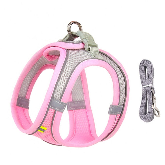 Dog Harness and Leash Set