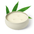 Bamboo 3-Wick Candle