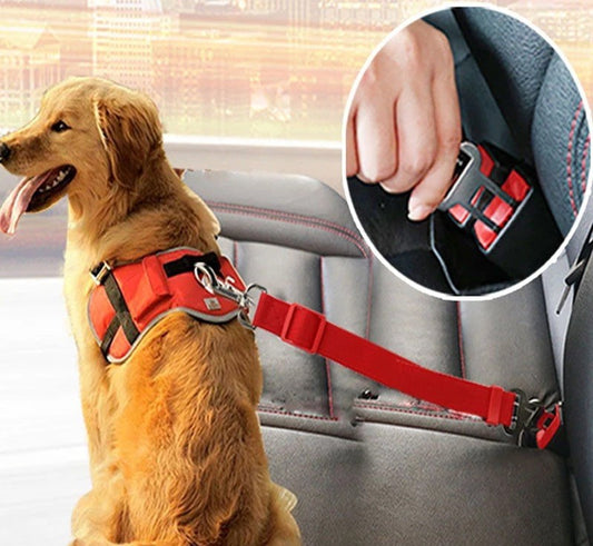 Pet Seat Belt