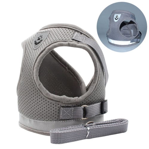 Cat Harness with Leash