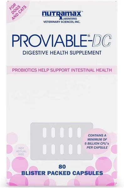 Proviable DC Probiotics & Prebiotics Digestive Supplement for Cats & Dogs