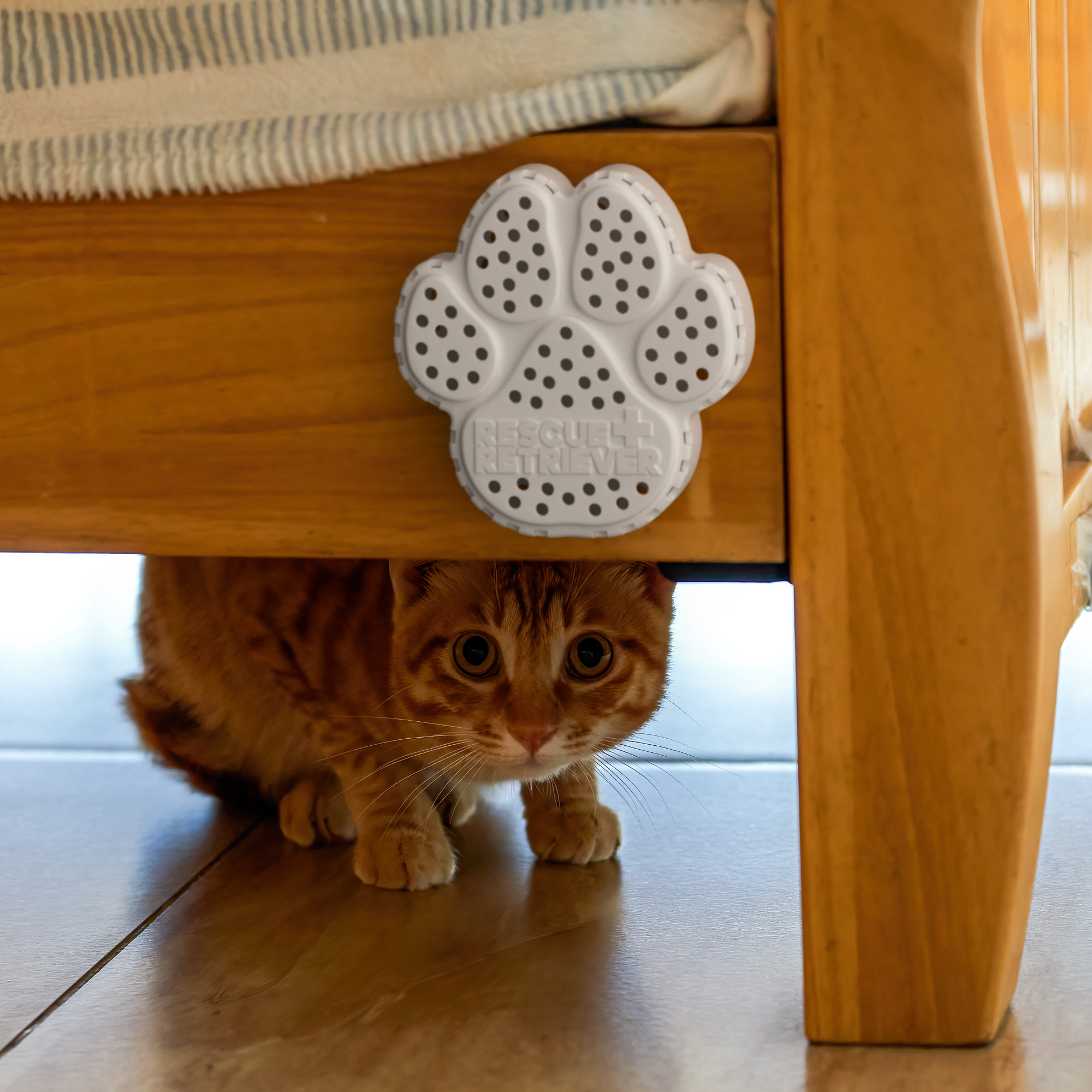 Pawtection Essential Bundle