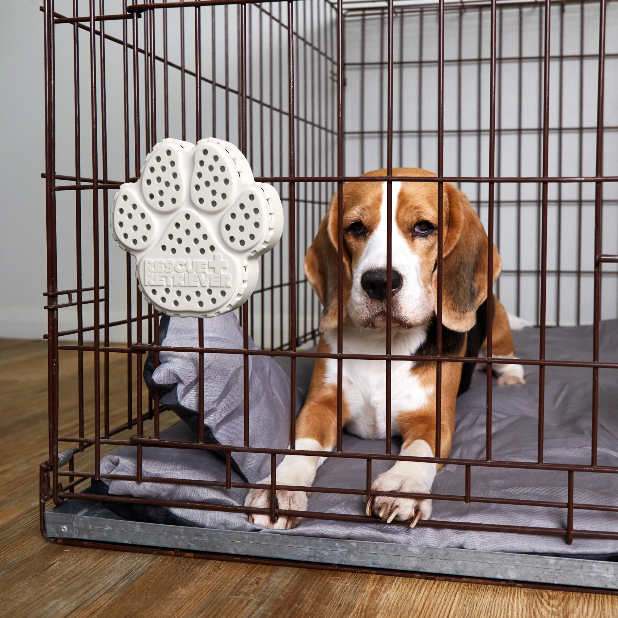 Pawtection Essential Bundle