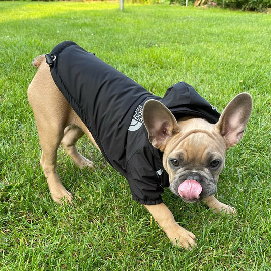 The Dog Face Jacket