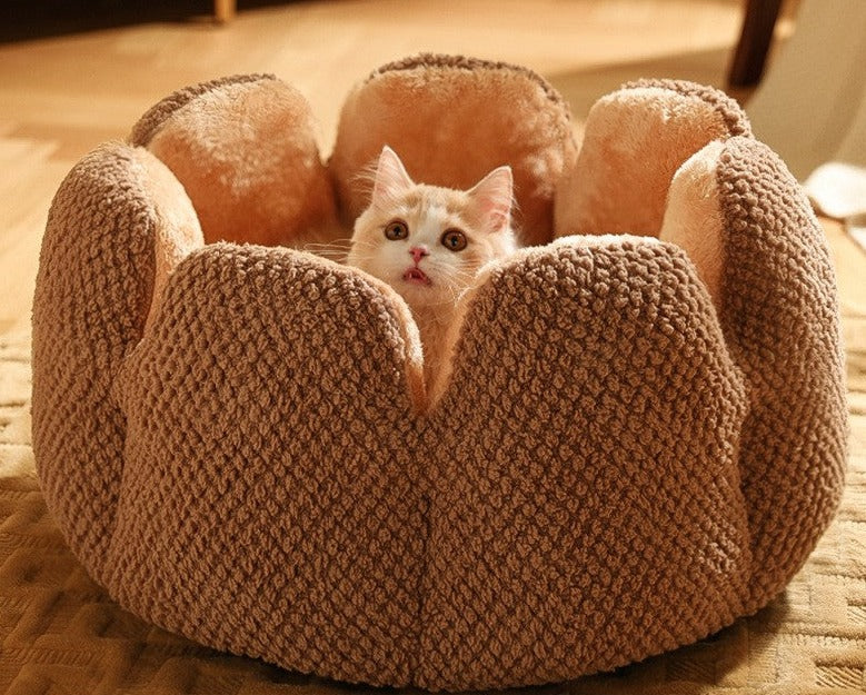 Pet Bed