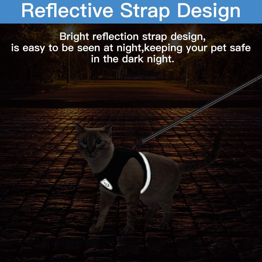 Cat Harness with Leash