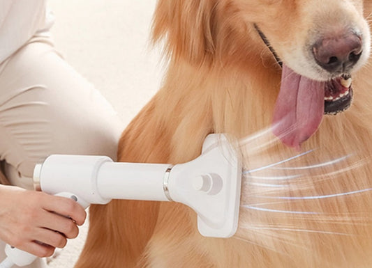 Pet Hair Dryer/Brush