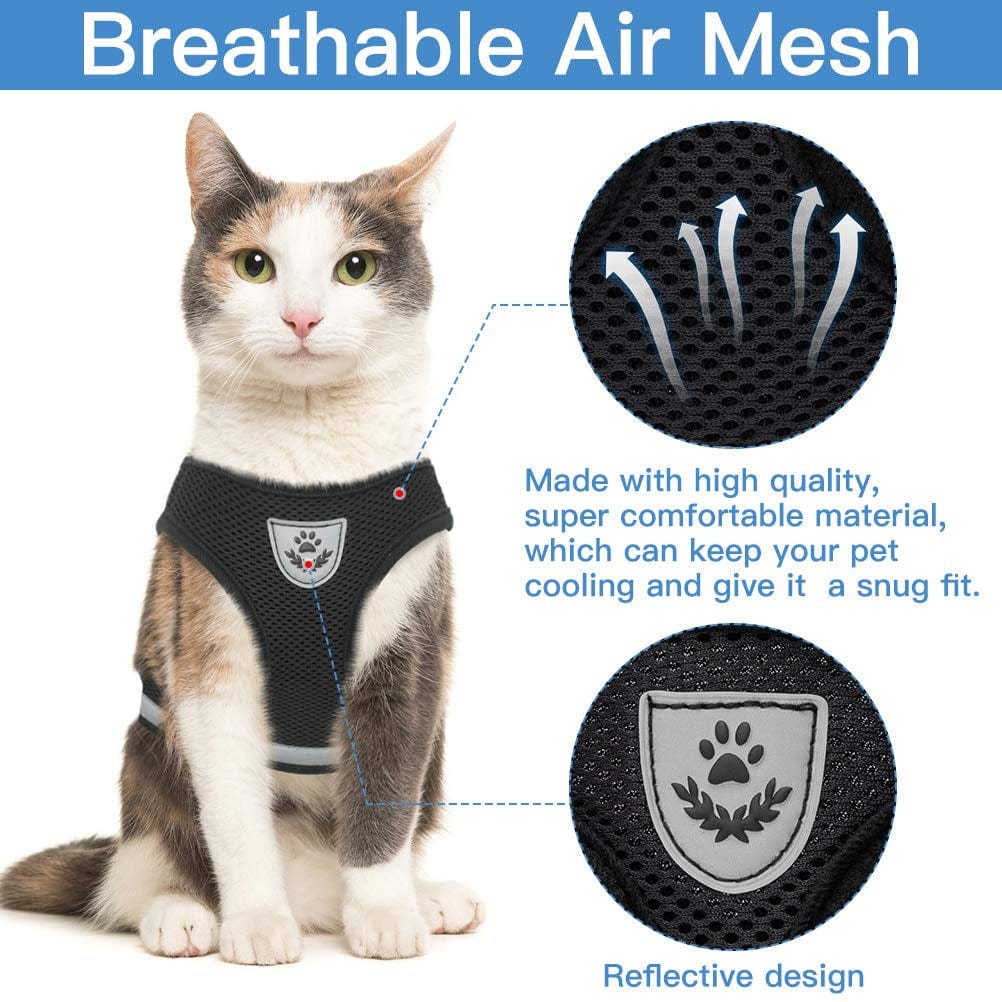 Cat Harness with Leash