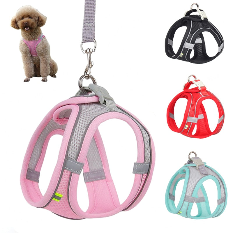 Dog Harness and Leash Set