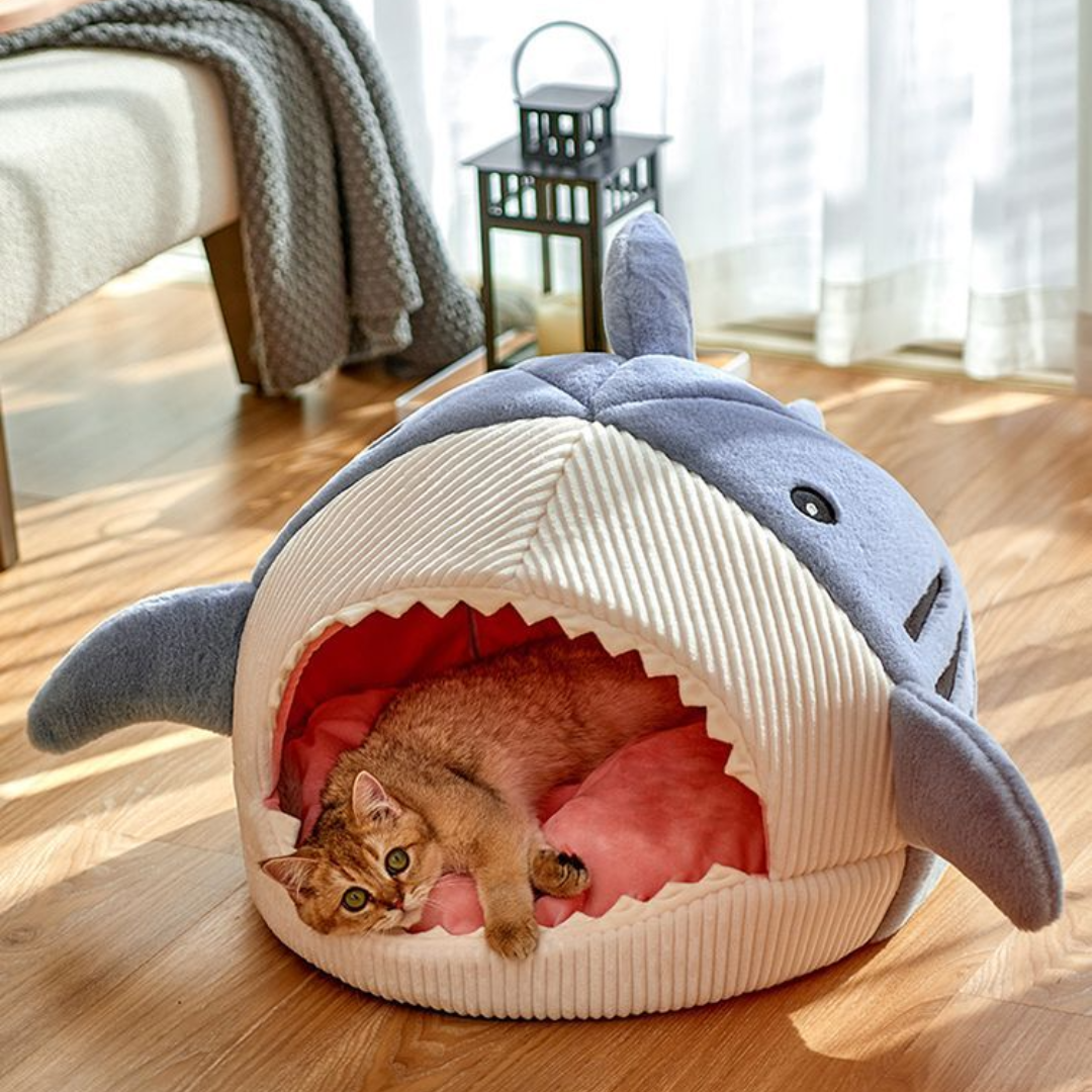 Shark Pet Bed