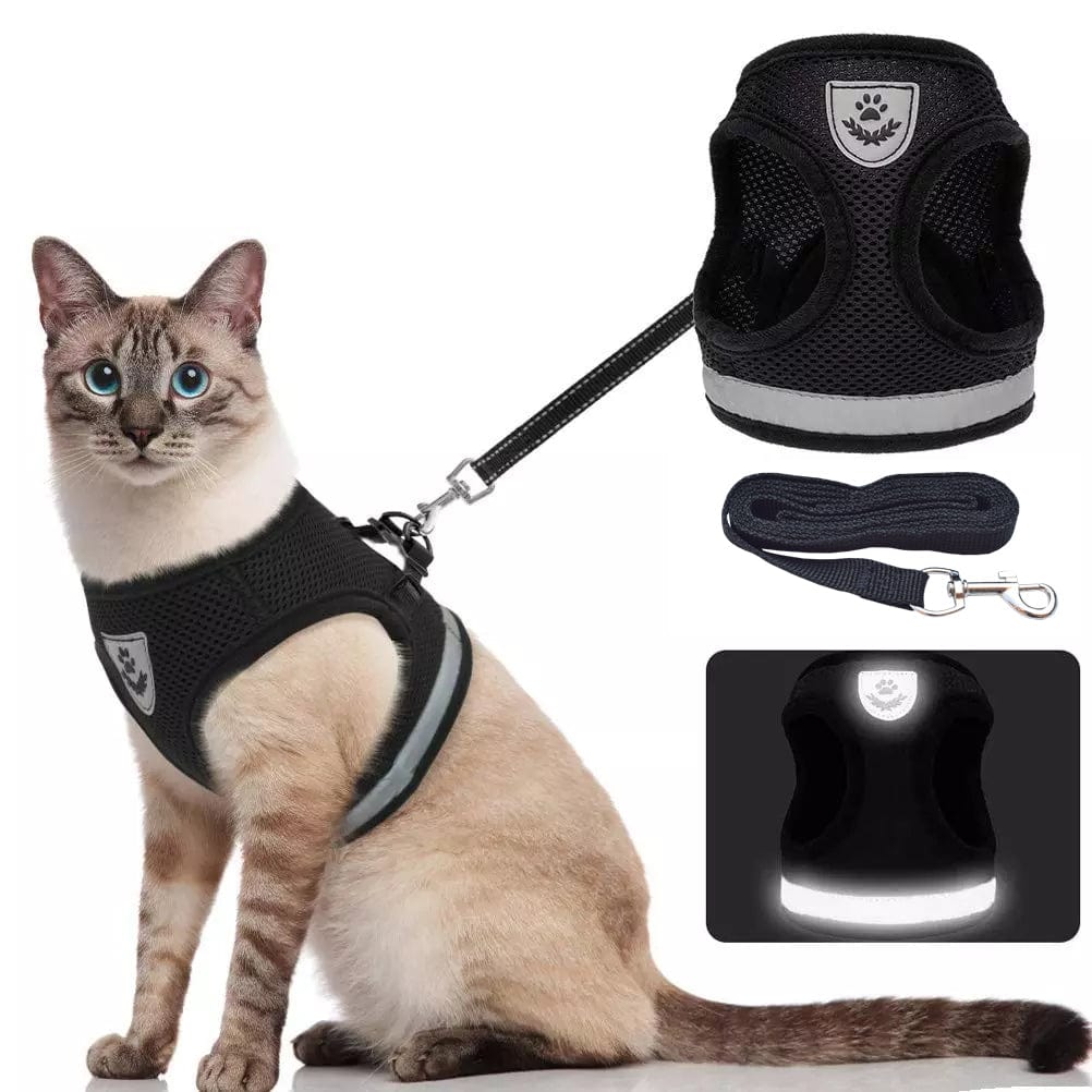 Cat Harness with Leash