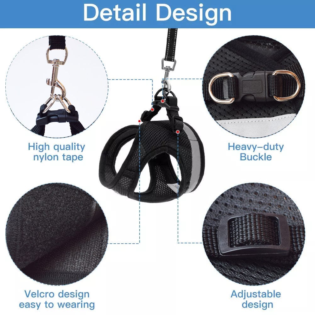 Cat Harness with Leash